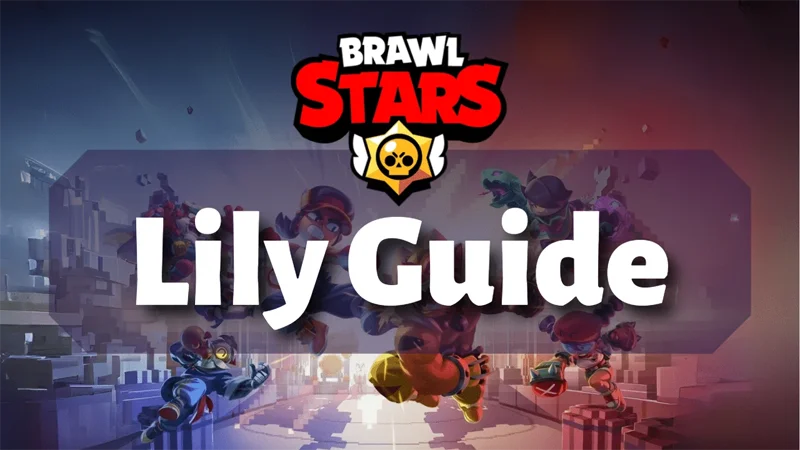 lily-guide